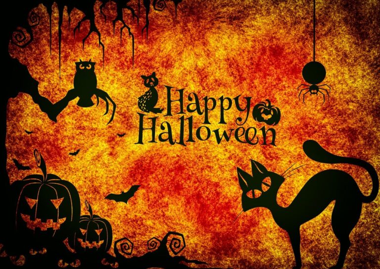 halloween, cat, scary-3751095.jpg